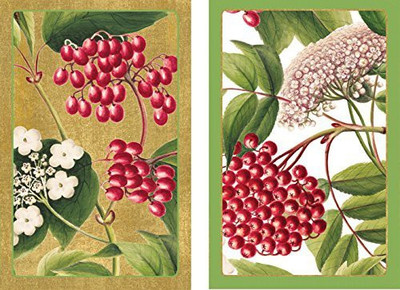 

Caspari Entertaining With Berry Chintz Pc118J Jumbo Playing Cards(Multicolor)