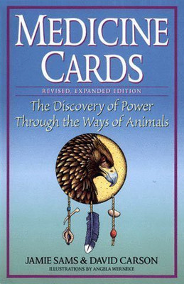 

US Games Medicine& Book(Blue)