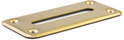 

Casinokart Money Slot For Rake Box Brass(Gold)