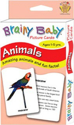 

Brainy Baby Picture Cards Animals Brainy Ba Animals Flashs(Multicolor)
