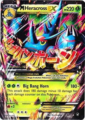 

Pokemon M Heracross Ex Furious Fists 5/111(Multicolor)