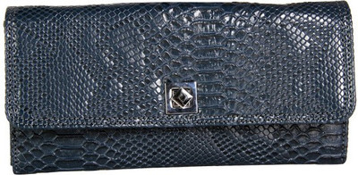 

Dhama by DharaviMarket 10 Card Holder(Set of 1, Blue)
