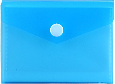 

ShopoSite 40 Card Holder(Set of 1, Blue)