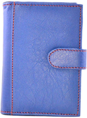 

Modish 30 Card Holder(Set of 1, Blue)