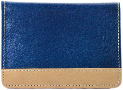 

ALW 30 Card Holder(Set of 1, Blue)