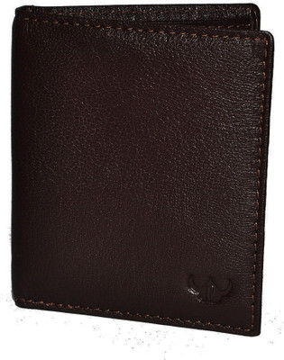 

DHide Designs 10 Card Holder(Set of 1, Brown)