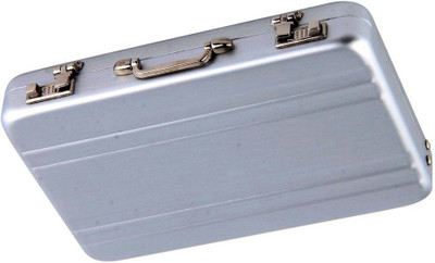 

Evana 24 Card Holder(Set of 1, Silver)