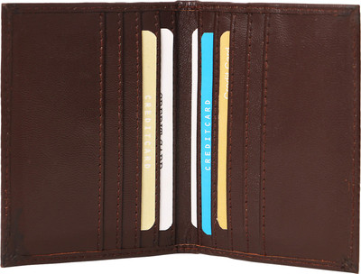 

ALW 10 Card Holder(Set of 1, Brown)