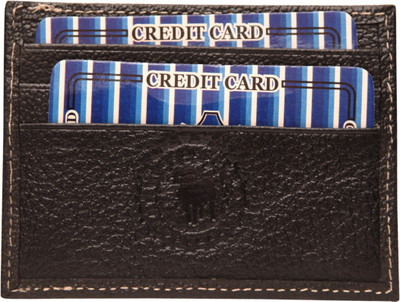 

AursaPelle Credit/Debit/Business Card 4 Card Holder(Set of 1, Brown)