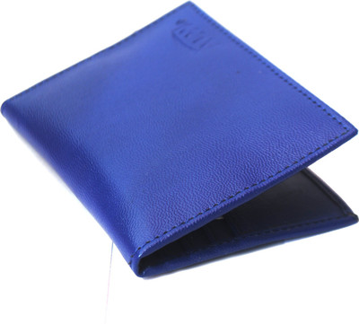 

Modish 20 Card Holder(Set of 1, Blue)
