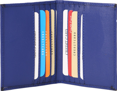 

ALW 10 Card Holder(Set of 1, Blue)