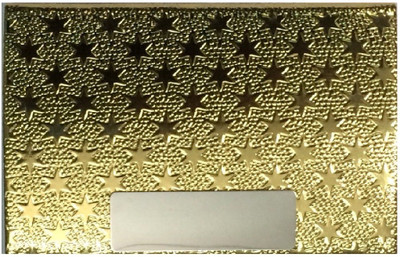 

Capstone Men's & Women's 10 Card Holder(Set of 1, Gold)