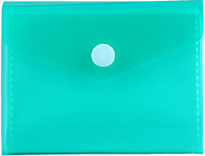 ShopoSite 40 Card Holder(Set of 1, Green)