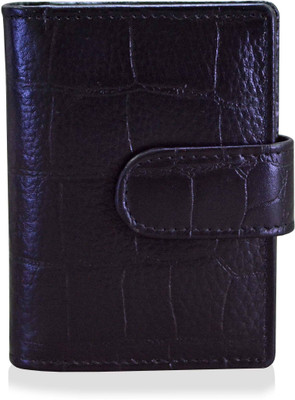 

Arpera Mens 20 Card Holder(Set of 1, Black)
