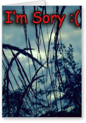 

Lolprint I am Sorry Greeting Card(Multicolor, Pack of 1)