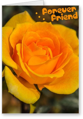 

Lolprint Yellow Rose Friendship Day Greeting Card(Multicolor, Pack of 1)
