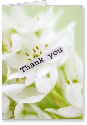 

Lolprint Thank You Greeting Card(Multicolor, Pack of 1)