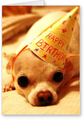 

Lolprint Happy Birthday Greeting Card(Multicolor, Pack of 1)