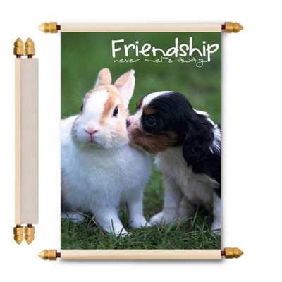 

Lolprint Friendship Gifts Scroll Greeting Card(Multicolor, Pack of 1)