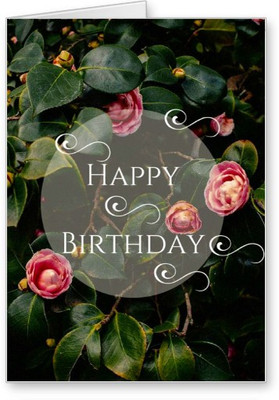 

Lolprint Happy Birthday Greeting Card(Multicolor, Pack of 1)