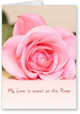 

Lolprint Rose Sweet Love Greeting Card(Multicolor, Pack of 1)