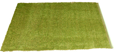 

Ritika Carpets Green Plastic Area Rug(60 cm X 90 cm)