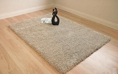 

Presto Beige Polyester Area Rug(150 cm X 210 cm)