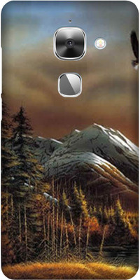Yashas Back Cover for LeTv Max 2(Multicolor)