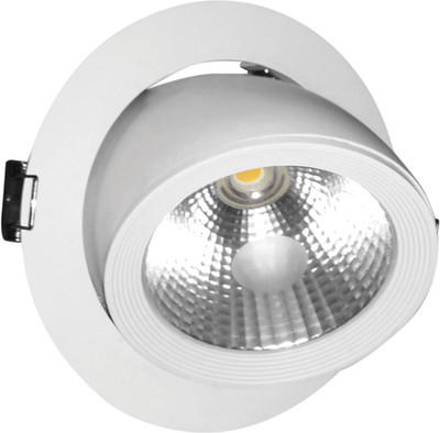 

FortuneArrt FortuneArrt 25 Watt LED COB LIGHT Flush Mount Ceiling Lamp