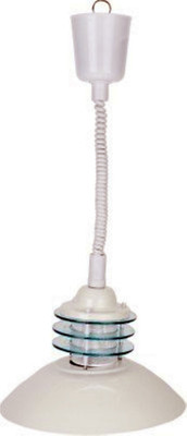 

krishana Pendants Ceiling Lamp