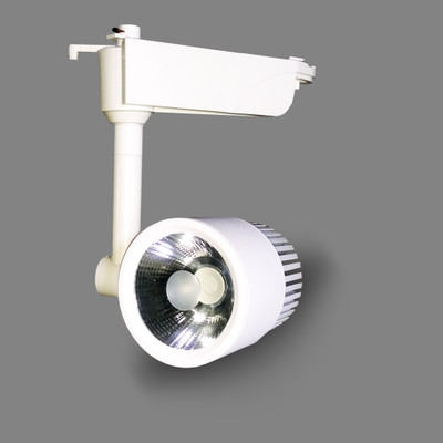Noble NE/ TRKPL 1*30 CW Track Lights Ceiling Lamp