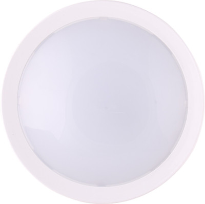 

MR LIGHTS Pendants Ceiling Lamp