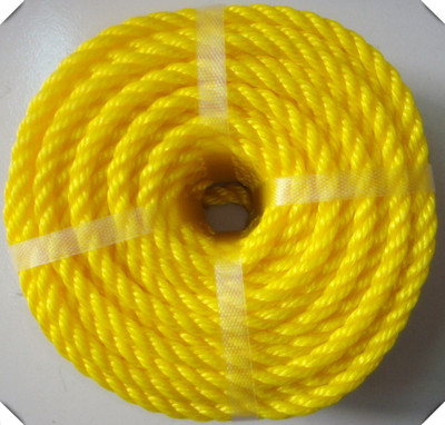 

DPOLY Nylon Clothesline(10 m)