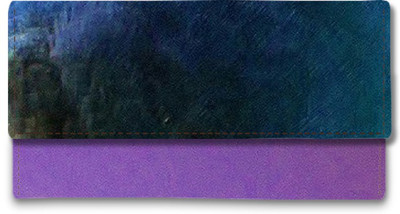 

Shoprider Casual Multicolor Clutch