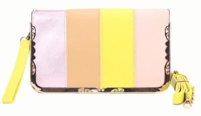 

Jolie Casual Multicolor Clutch