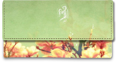 

Shoprider Casual Multicolor Clutch