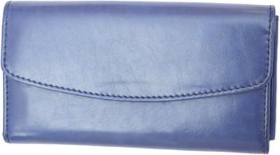 

Crapgoos Casual Blue Clutch