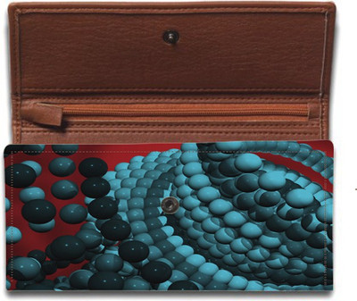 

Shoprider Casual Multicolor Clutch