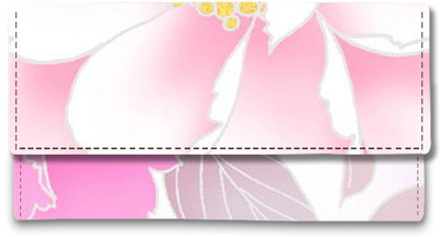 

Shoprider Casual Multicolor Clutch