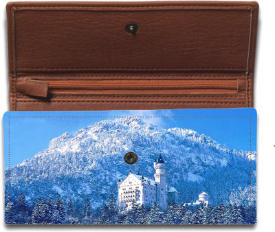 

Shoprider Casual Multicolor Clutch
