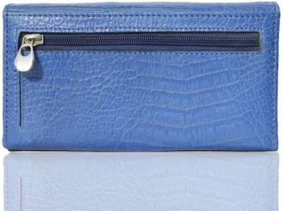 Crapgoos Casual Blue Clutch