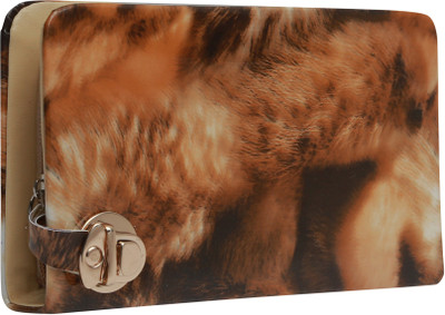 

Jolie Casual Multicolor Clutch