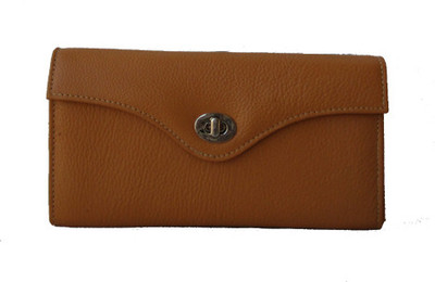 

Klaska Casual Beige Clutch