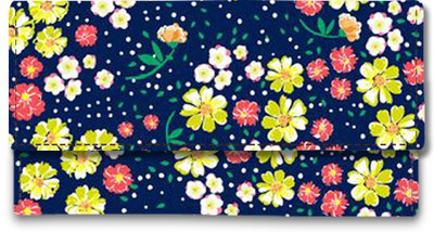 

Shoprider Casual Multicolor Clutch