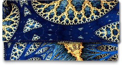 

Shoprider Casual Multicolor Clutch