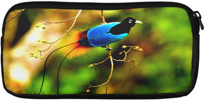 

Panda Creation Casual Multicolor Clutch