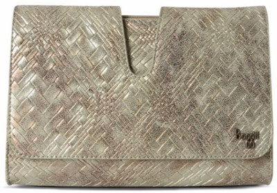 

Baggit Casual Silver Clutch