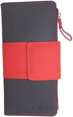 

Style 98 Casual Multicolor Clutch
