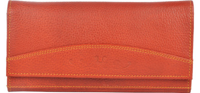 

Blu Whale Casual Multicolor Clutch