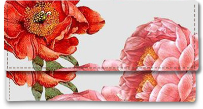 

Shoprider Casual Multicolor Clutch